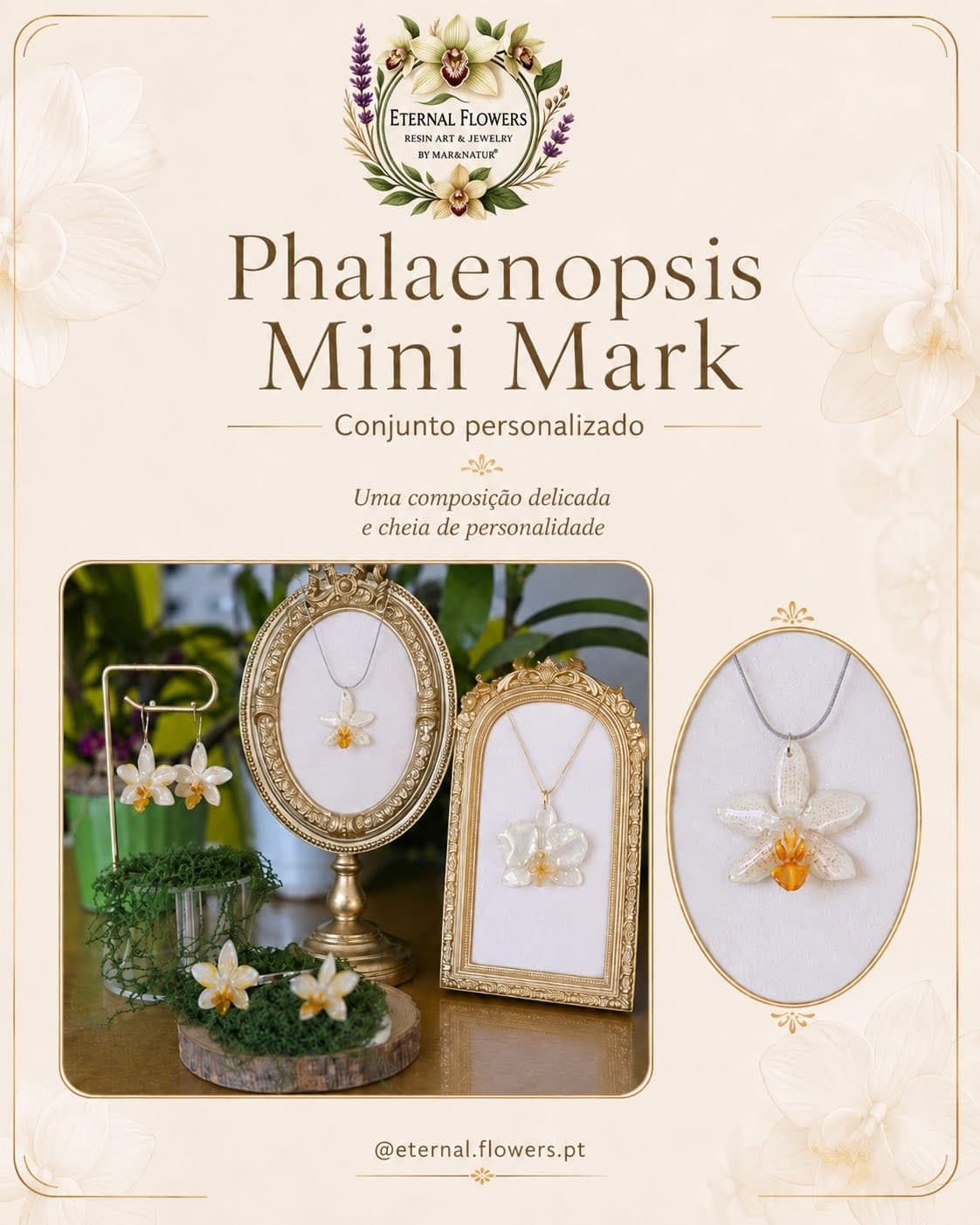 Conjunto Completo Phalaenopsis Mini Mark